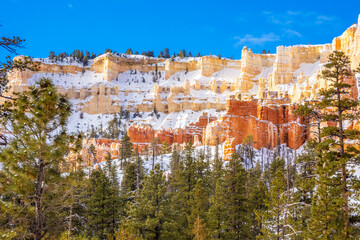 Wall Mural - Snowy Bryce Canyon