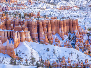 Wall Mural - Snowy Bryce Canyon