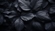 © Andrei - Abstract black tropical leaf textures for dark nature concept background with copy space