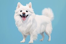 White Spitz Watercolor Portrait Painting. Illustrated Dog Puppy, Isolated On Blue Background. AI Generated
