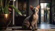 Cute cat with big ears. Adorable pet in a nice house. Kitten indoors. AI Generated