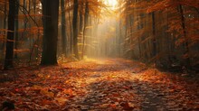 Autumn Forest Path Covered In Fallen Leaves, Golden Light Filtering Through Trees