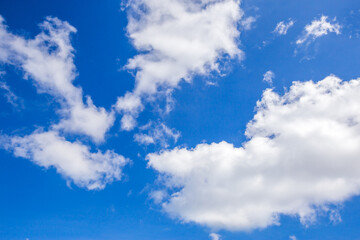 Wall Mural - blue sky and white clouds.