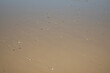 wet sand surface on the beach for natural background