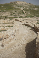 Wall Mural - Tel Arad National Park