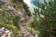 Hiking trail for climb with sling and stair to the top of the mountain in alpine