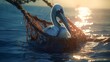 pelican entangled in a net in the sea, ecology, nature pollution, save nature,