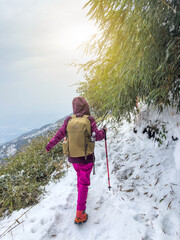 Wall Mural - woman climbing snow mountain in winter