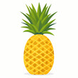 flat logo pineapple tropical fruit vector illustration white background 