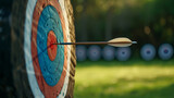 Fototapeta  - An arrow at the target on an archery field