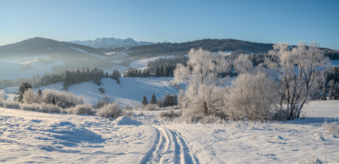 Wall Mural - extremely frosty mountain landscape at sunrise.pieniny mountain,poland.