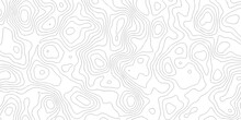 White Wave Paper Curved Reliefs Abstract Background Black And White, Background Of The Topographic Line Map. Topographic Map Patterns Abstract White Topography Vector Background.