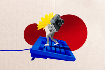 Poster - Collage artwork minimal picture of flower head lady holding camera walking vintage keyboard isolated graphical background