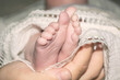 Legs of a newborn baby. Children's small feet wrapped in cloth. A baby's legs in the hands of an adult