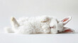 White fluffy rabbit sleeps on its back. Light background. Copy space. Greeting card concept. Generative AI