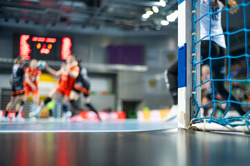 Wall Mural - Detail of handball goal post with net and game in the background.