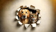 cat and dog looking through from a torn paper wall hole