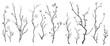 © Евгений Гончаров - Hand drawn tree branches collection. Vector illustration.
