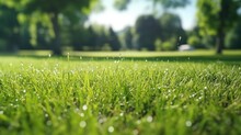 A Picture Of A Field Of Grass With Sparkling Water Droplets. Perfect For Nature And Outdoor-themed Designs