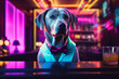 Labrador Retriever Bartender in Bow Tie and Vest
