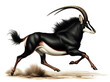 © Erkki - Vintage Lithography of Sable Antelope, the Graceful and Horned Herbivore