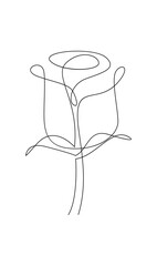 Wall Mural - One line drawing. Garden rose with leaves. Hand drawn sketch. template
