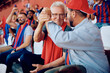 © Drazen - Happy senior sports fan and his son celebrating during match at stadium.