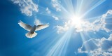 Fototapeta  - Vibrant Blue Sky With A White Dove Soaring Freely Amidst Sunbeams And Clouds. Сoncept Nature's Beauty, Serene Moments, Majestic Wings, Heavenly Skies, Peaceful Freedom
