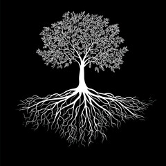 Wall Mural - Yggdrasil tree, vector isolated on dark background, tree of life, vector illustration.