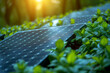 Solar panel surrounded by greenery. Clean and renewable energy concept. Background for postcards, advertising brochures, magazines