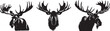 Moose head, black and white vector graphics