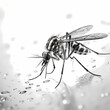 Closeup of black and white mosquito isolated on white background. Aedes aegypti dengue mosquito. Prevention.