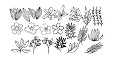 Doodle Line Art Botanical Floral, Hand Drawn Flowers,  Minimalist Flowery Art For Print, Tattoo, Exotic Summer Botanical Illustrations. Great Set Collection Clip Art Silhouette On White Background.