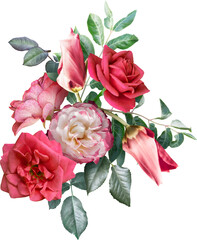 Wall Mural - Red roses and tulips isolated on a transparent background. Png file.  Floral arrangement, bouquet of garden flowers. Can be used for invitations, greeting, wedding card.