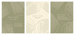 Vector illustration. Set of three posters, light leaves on a green background, decor. Luxury design for invitations, report templates, presentations with plants, nature.