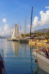 Wall Mural - Beautiful  Mediterranean landscape with sailboats on water. Montenegro, Adriatic Sea. Bay of Kotor. View of Porto Montenegro marina in Tivat city