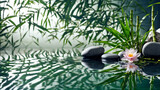 Fototapeta Desenie - Bamboo stems with a lotus flower on the surface of the water.