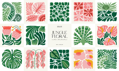 floral abstract elements. tropical botanical composition. modern trendy matisse minimal style. flora