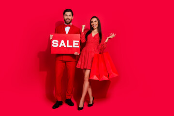 Aufkleber - Full size photo of two classy excited lovers hold sale poster mall bags raise fist empty space isolated on red color background