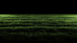 football stadium grass isolated on black background	