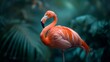 Flamingo in Moody Ambience