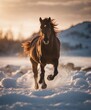 wild horse running on ice to the camera, warm light
