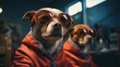 Two dogs dressed in orange overalls and trendy sunglasses going about their job