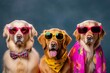 © Tasriv - Cute golden retriver dogs, anthromorphic, vibrant colors, group photo, fashionable, cool, studio photography, minimalism