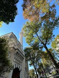 Fototapeta Paryż - Mosque Building With Intricate Architecture