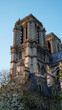 Catedral Notre-Dame de Paris in  the spring