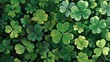 A dense, seamless pattern of green shamrock leaves symbolizing luck and the spirit of St. Patrick's Day.