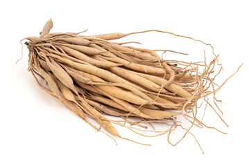 Wall Mural - Shatavari or Asparagus racemosus roots isolated on white background.