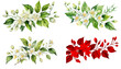 watercolor  jasmine flowers clipart
