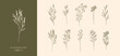 Hand Drawn Botanical Wild Flowers Boho Spring Wildflowers Herbal Organic Logo Nature Isolated SVG 